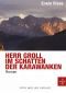 [Herr Groll 01] • Herr Groll im Schatten der Karawanken